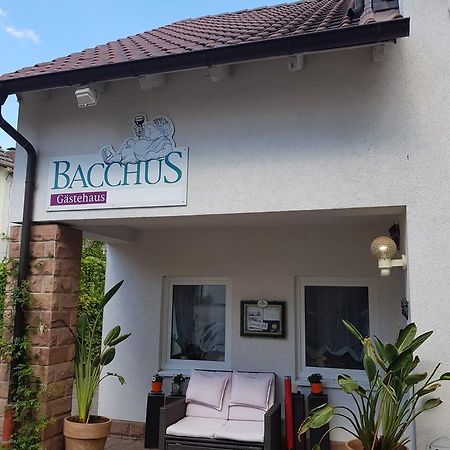 Gaestehaus Bacchus วาเคนไฮม์ อัน แดร์ไวน์ชตราสเซอ ภายนอก รูปภาพ